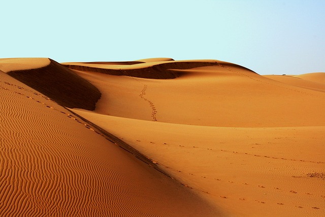 Desert Dune